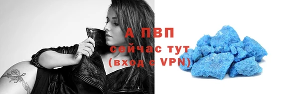 jwh Пересвет
