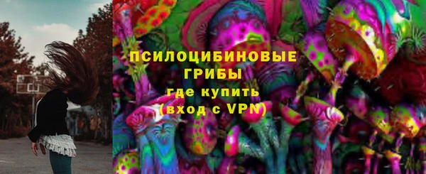 jwh Пересвет
